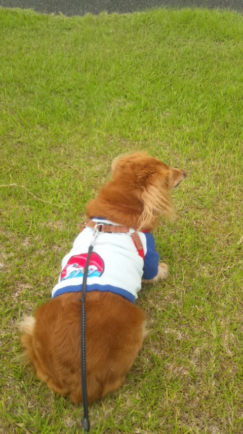 はなちゃん　♀