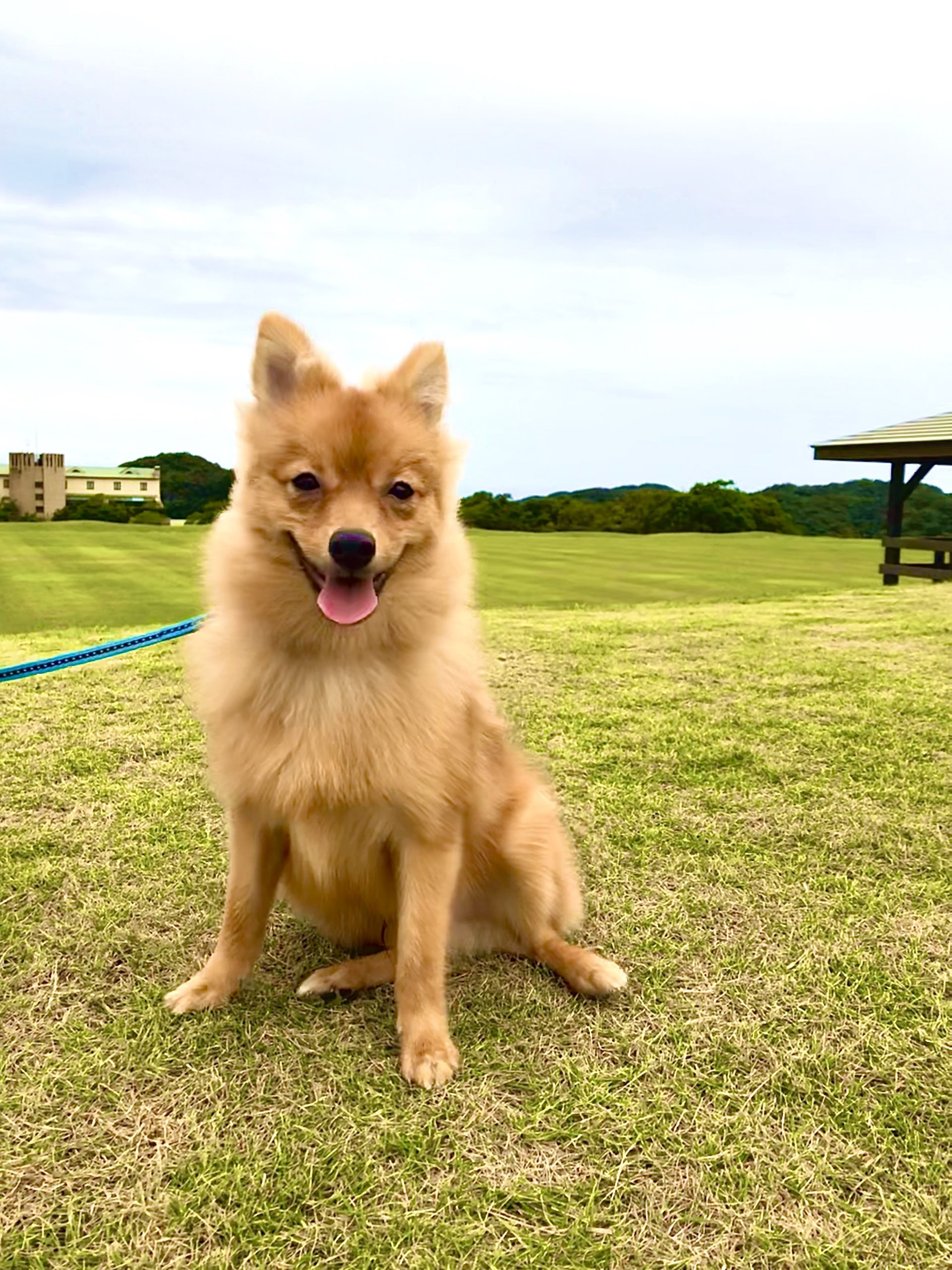 げんくん ♂ げんくん ♂