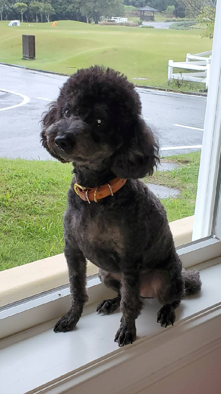 なみりちゃん ♀ なみりちゃん ♀