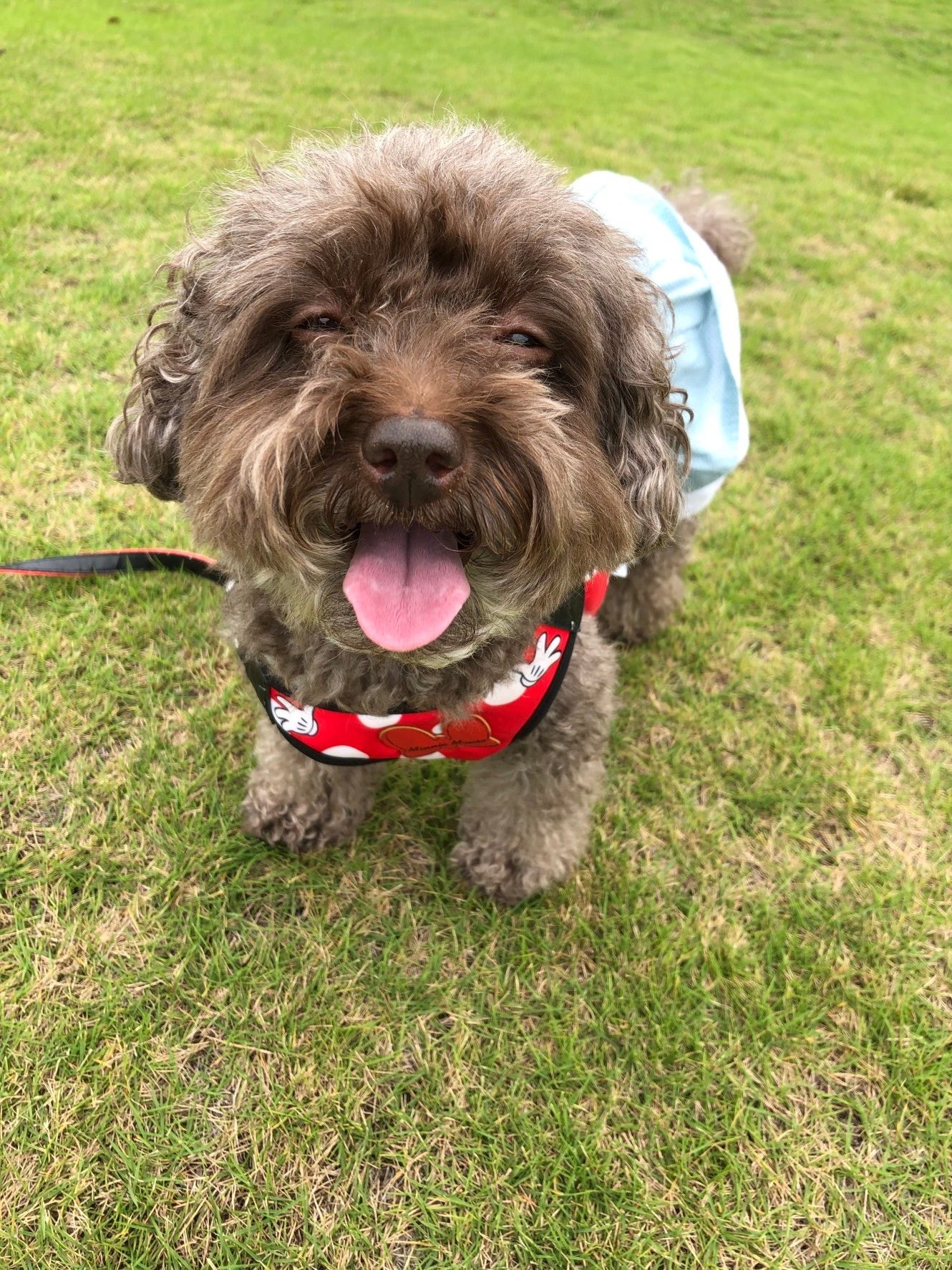 ももちゃん ♀ ももちゃん ♀