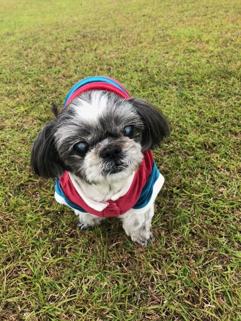 ジェリーくん♂ ジェリーくん♂