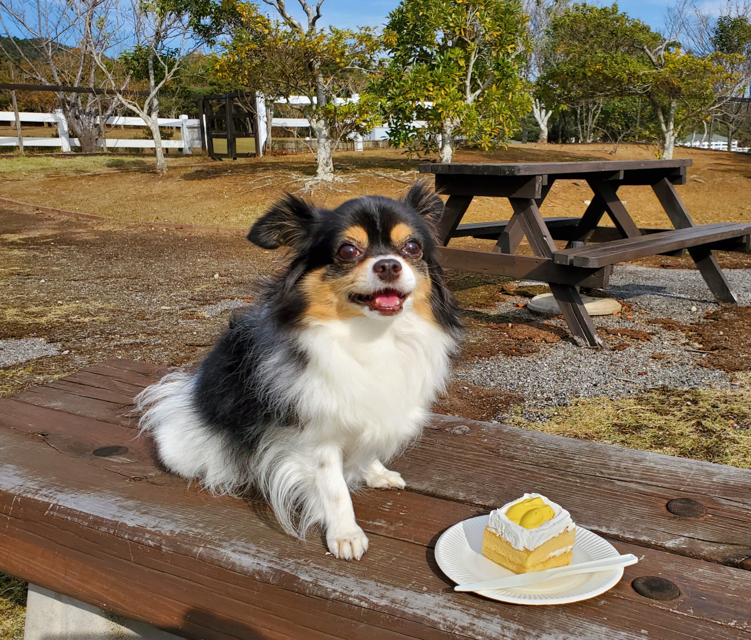 モモコちゃん♀ モモコちゃん♀