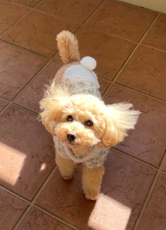 プーちゃん♀ プーちゃん♀