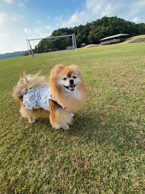 陽菜ちゃん♀ 陽菜ちゃん♀