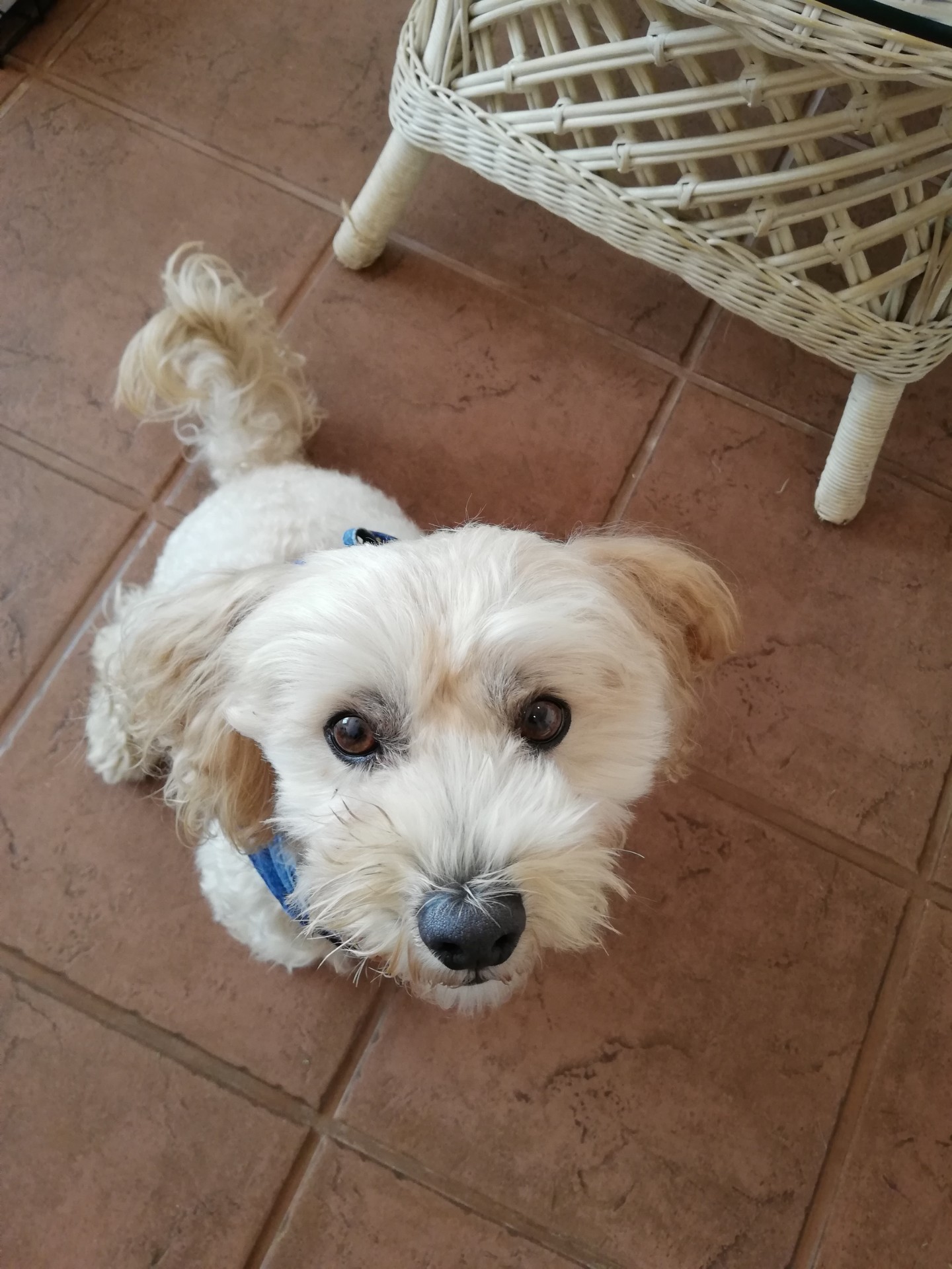 まるくん♂ まるくん♂