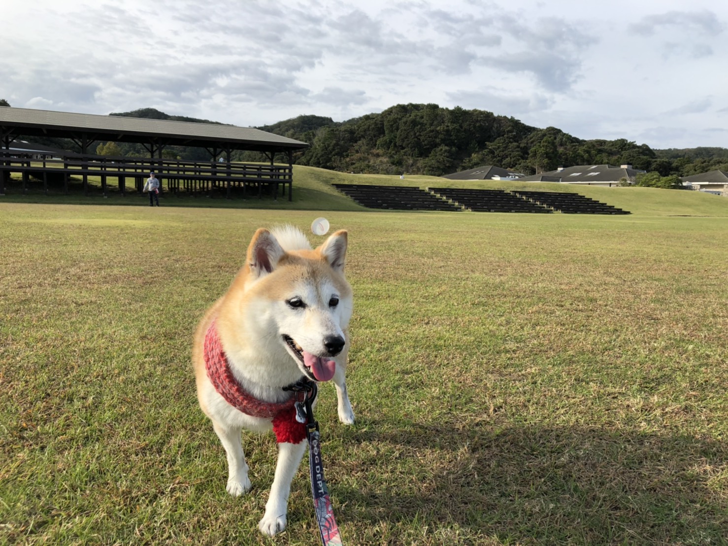 モナコちゃん♀ モナコちゃん♀