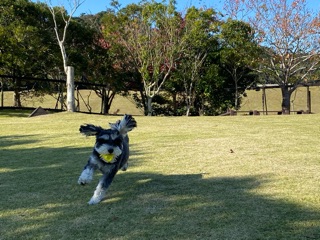 グリュックちゃん♀ グリュックちゃん♀