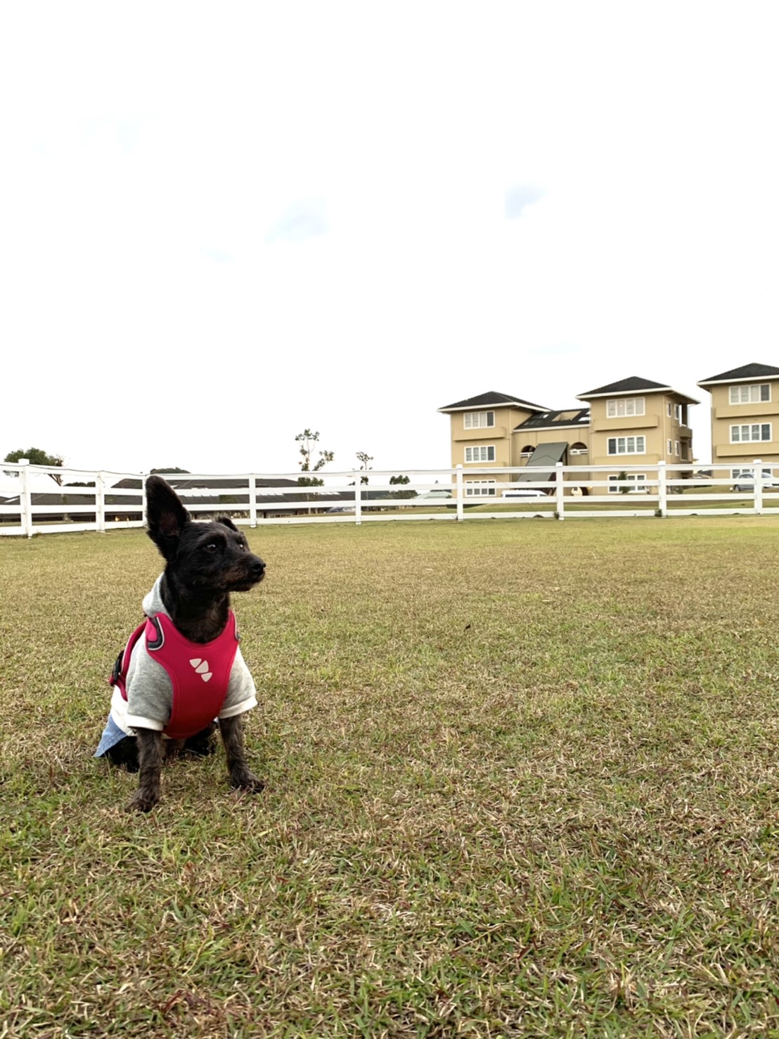 こはるちゃん♀ こはるちゃん♀