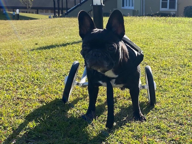 小梅ちゃん♀ 小梅ちゃん♀