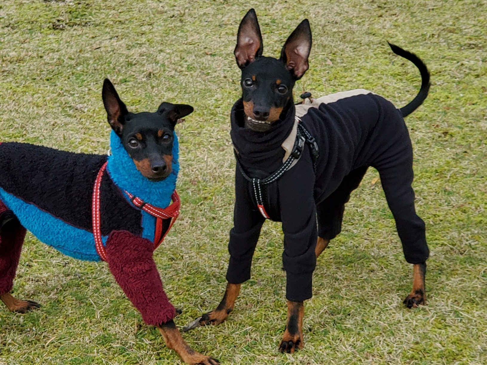 そらちゃん ♀ & たいようくん ♂ そらちゃん ♀ & たいようくん ♂