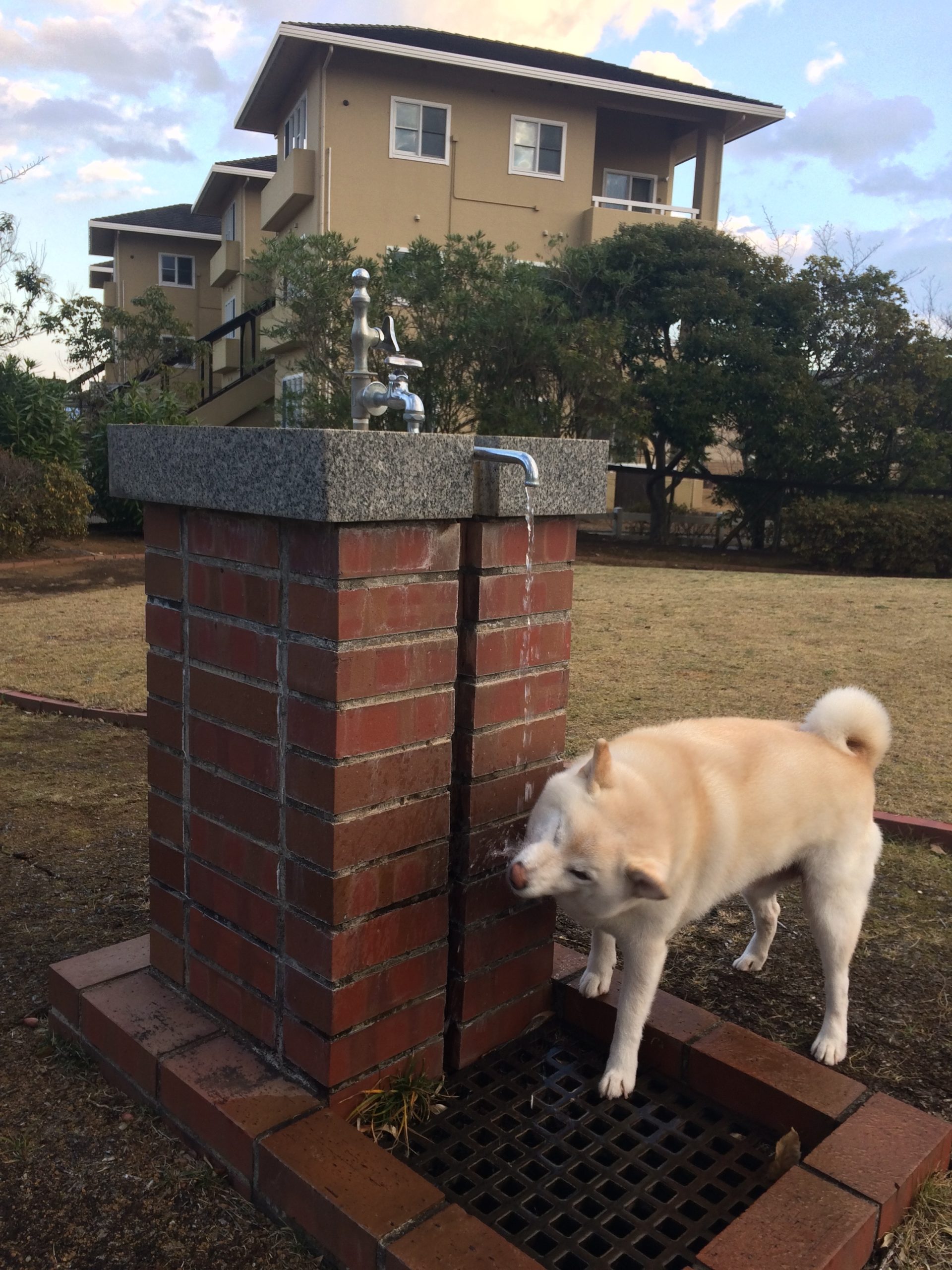 そらくん ♂ そらくん ♂