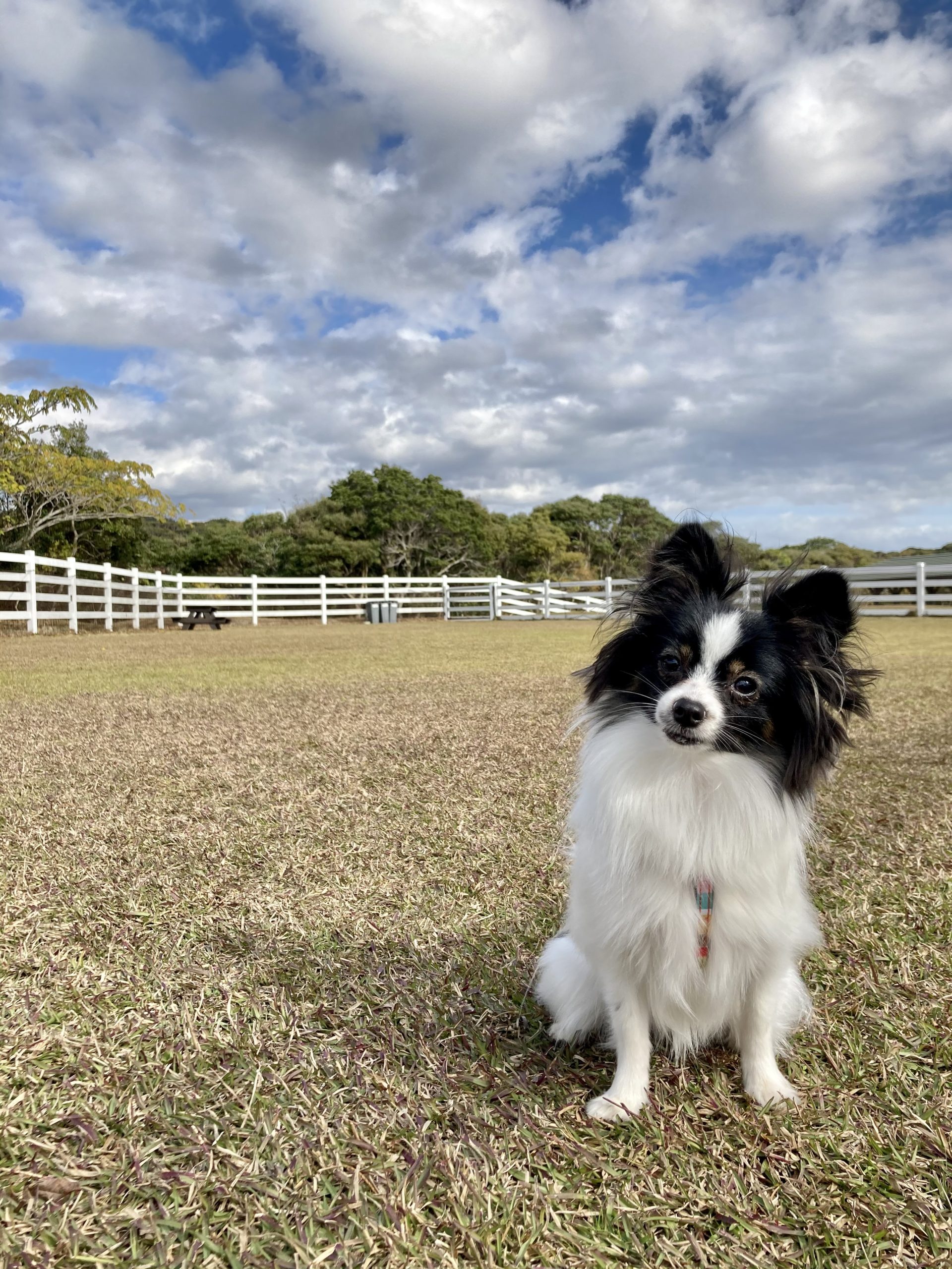 ナナちゃん ♀ ナナちゃん ♀