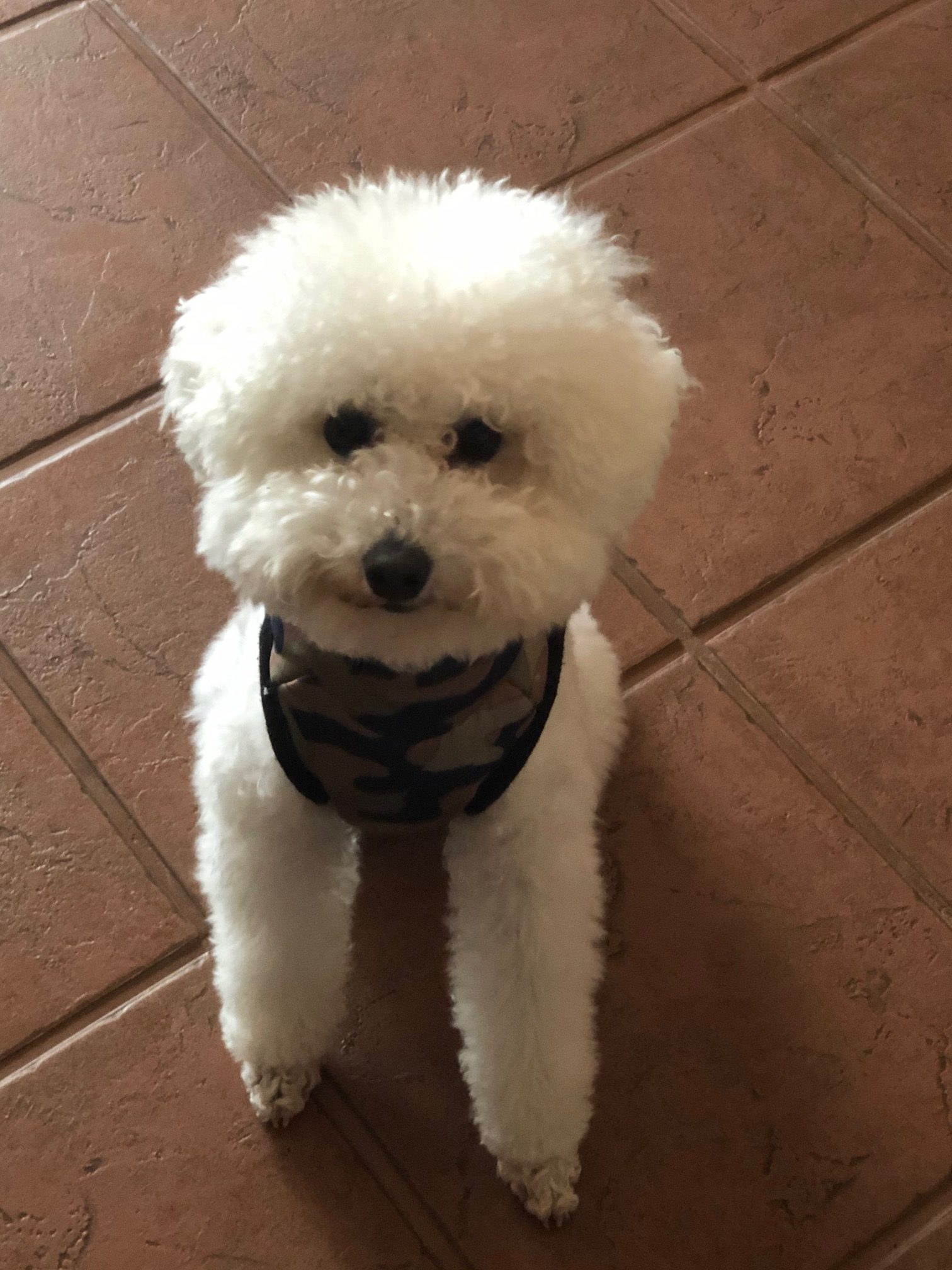 嵐太くん ♂ 嵐太くん ♂