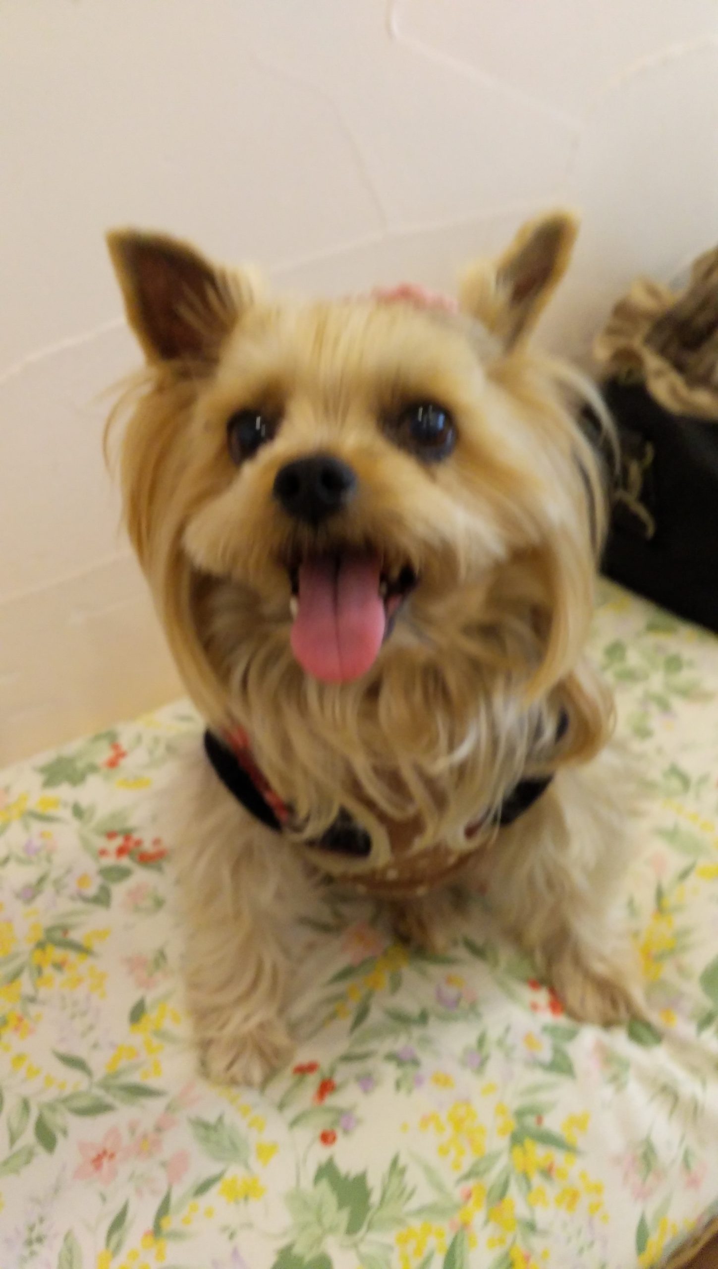 サーヤちゃん ♀ サーヤちゃん ♀