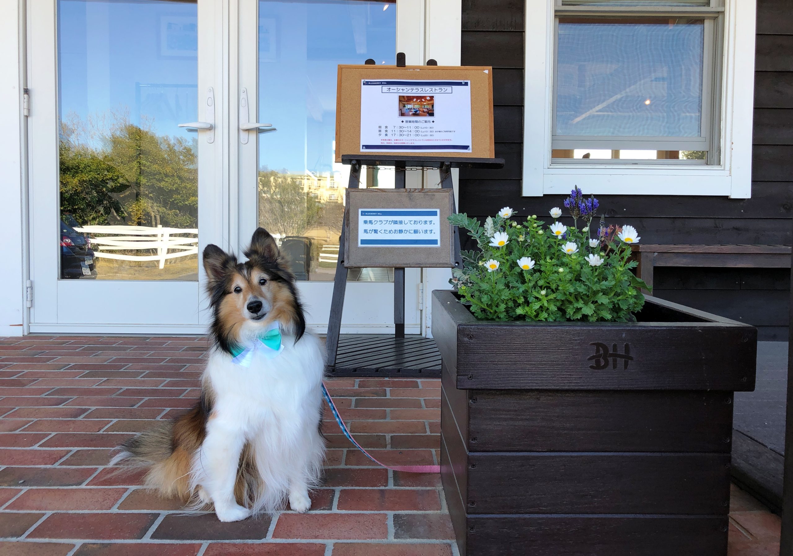 キャメルちゃん ♀ キャメルちゃん ♀