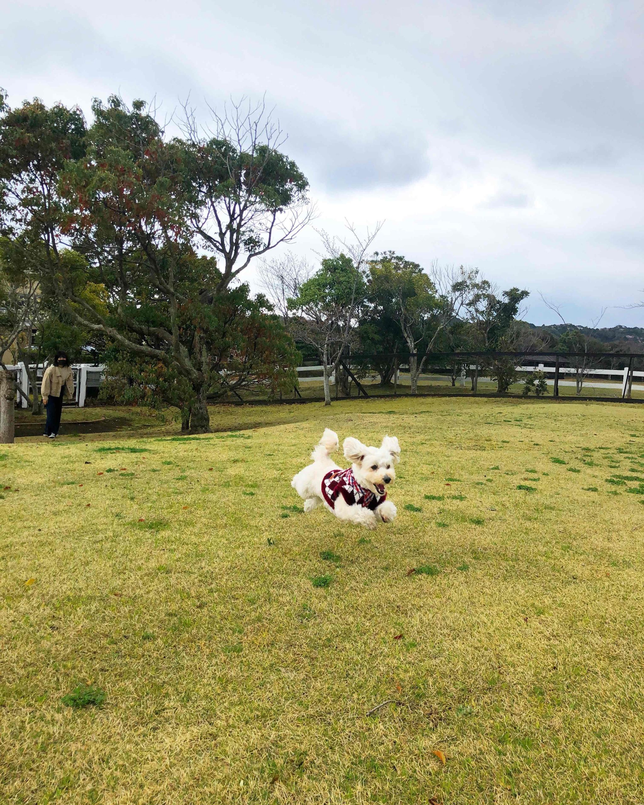 ジルくん ♂ ジルくん ♂