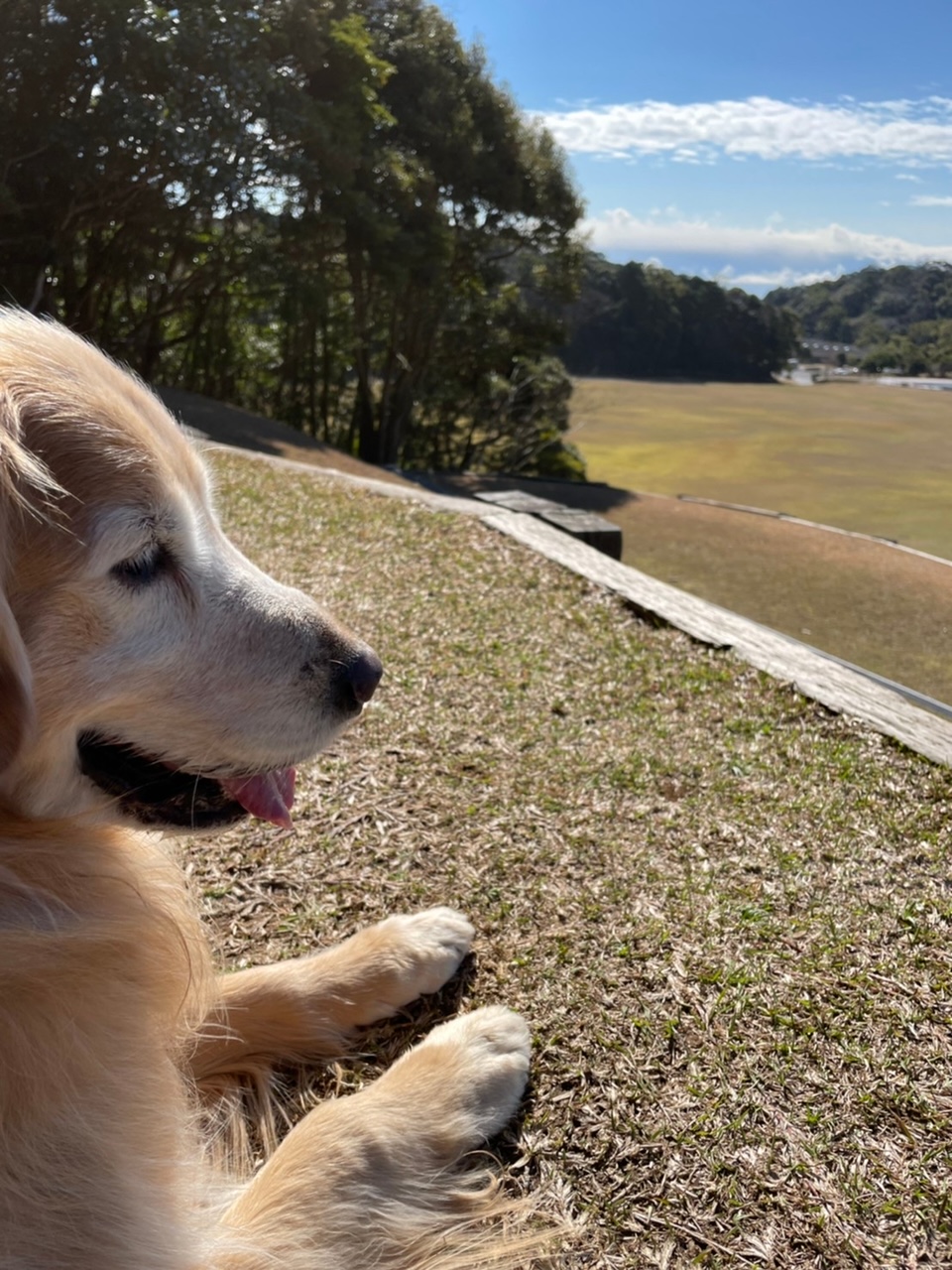 バリ-くん ♂ バリ-くん ♂