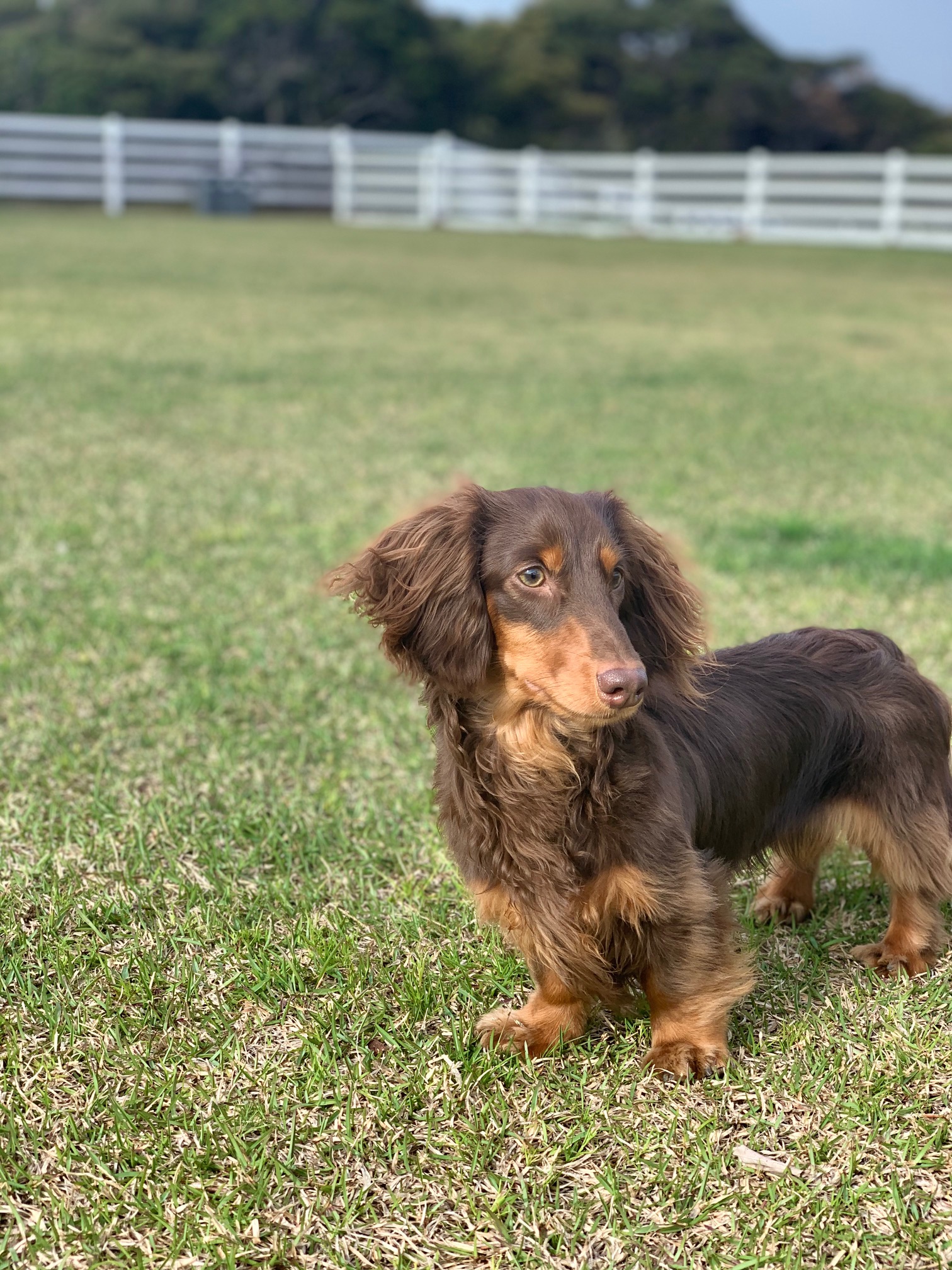 マロンくん ♂ マロンくん ♂