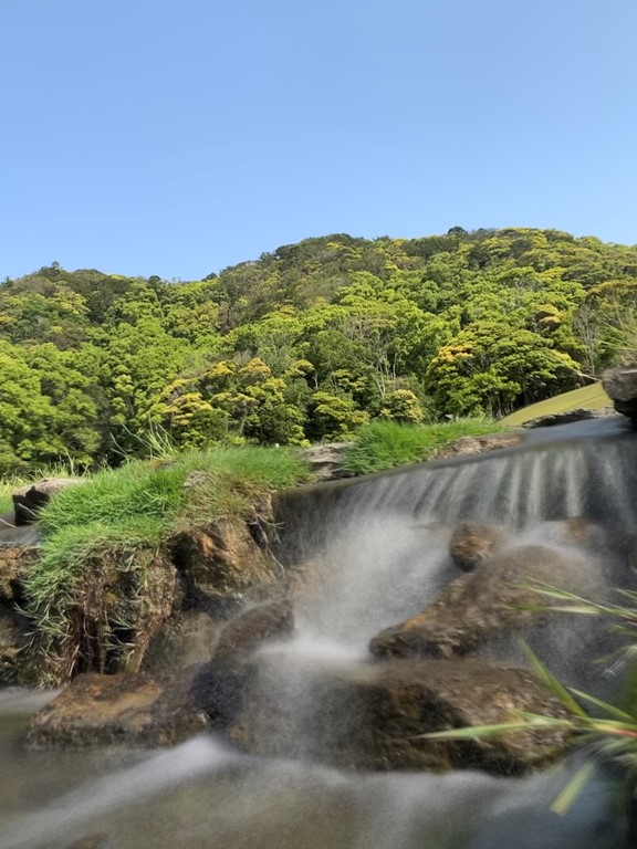 ~ ゴールデンウイークの風景 ~