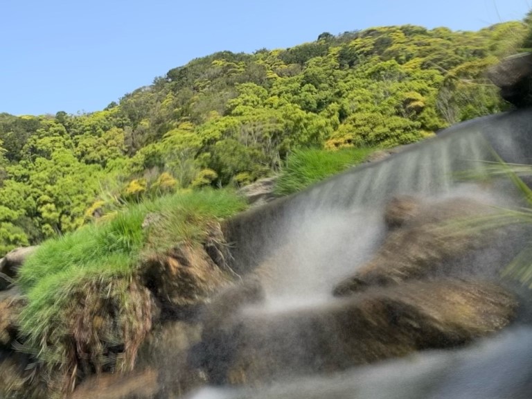 ~ ゴールデンウイークの風景 ~