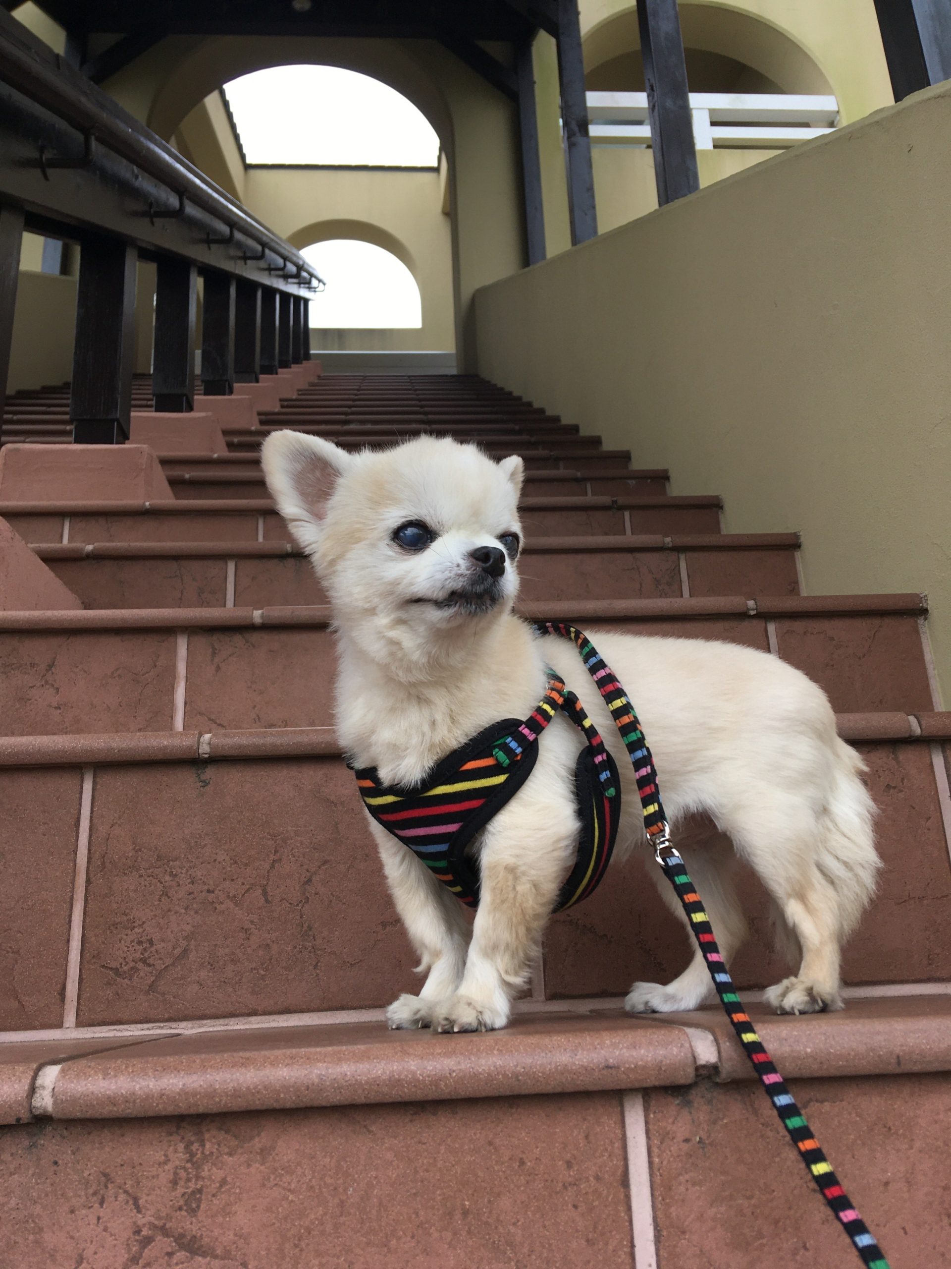 さくらちゃん ♀ さくらちゃん ♀