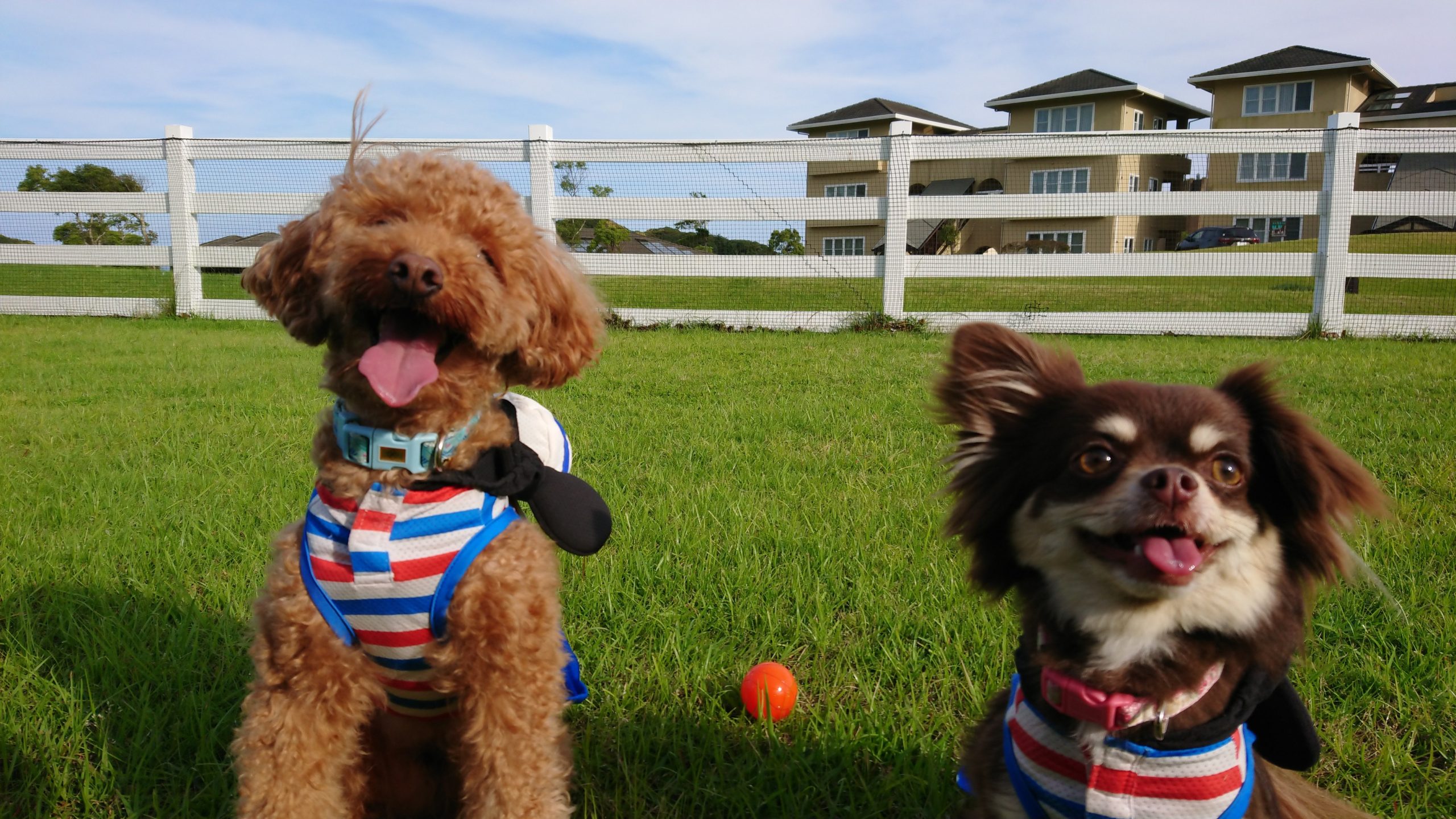 もあなちゃん♀ & くひおくん ♂ もあなちゃん♀ & くひおくん ♂