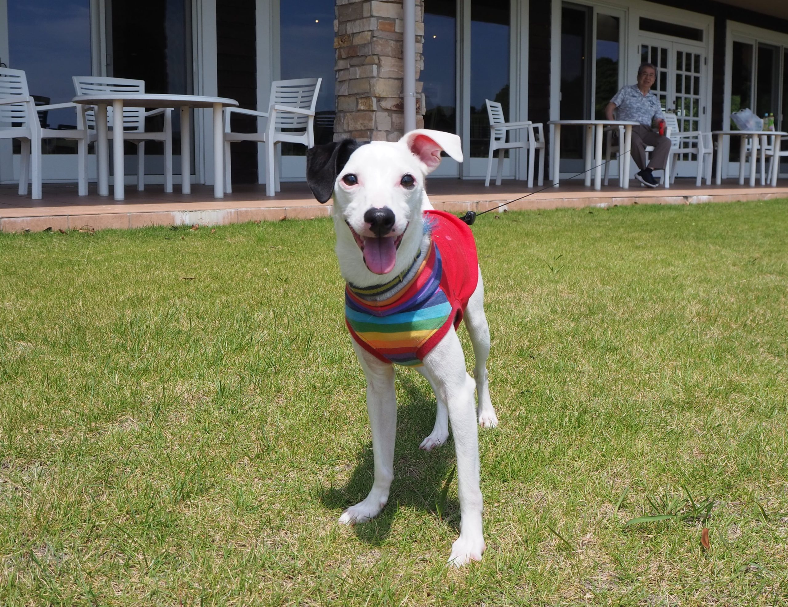 ウー太くん ♂ ウー太くん ♂