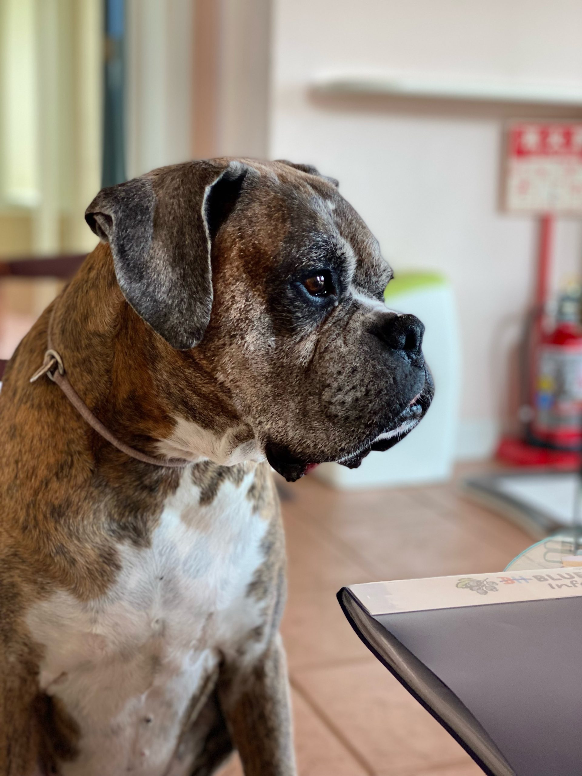 睦月くん ♂ 睦月くん ♂