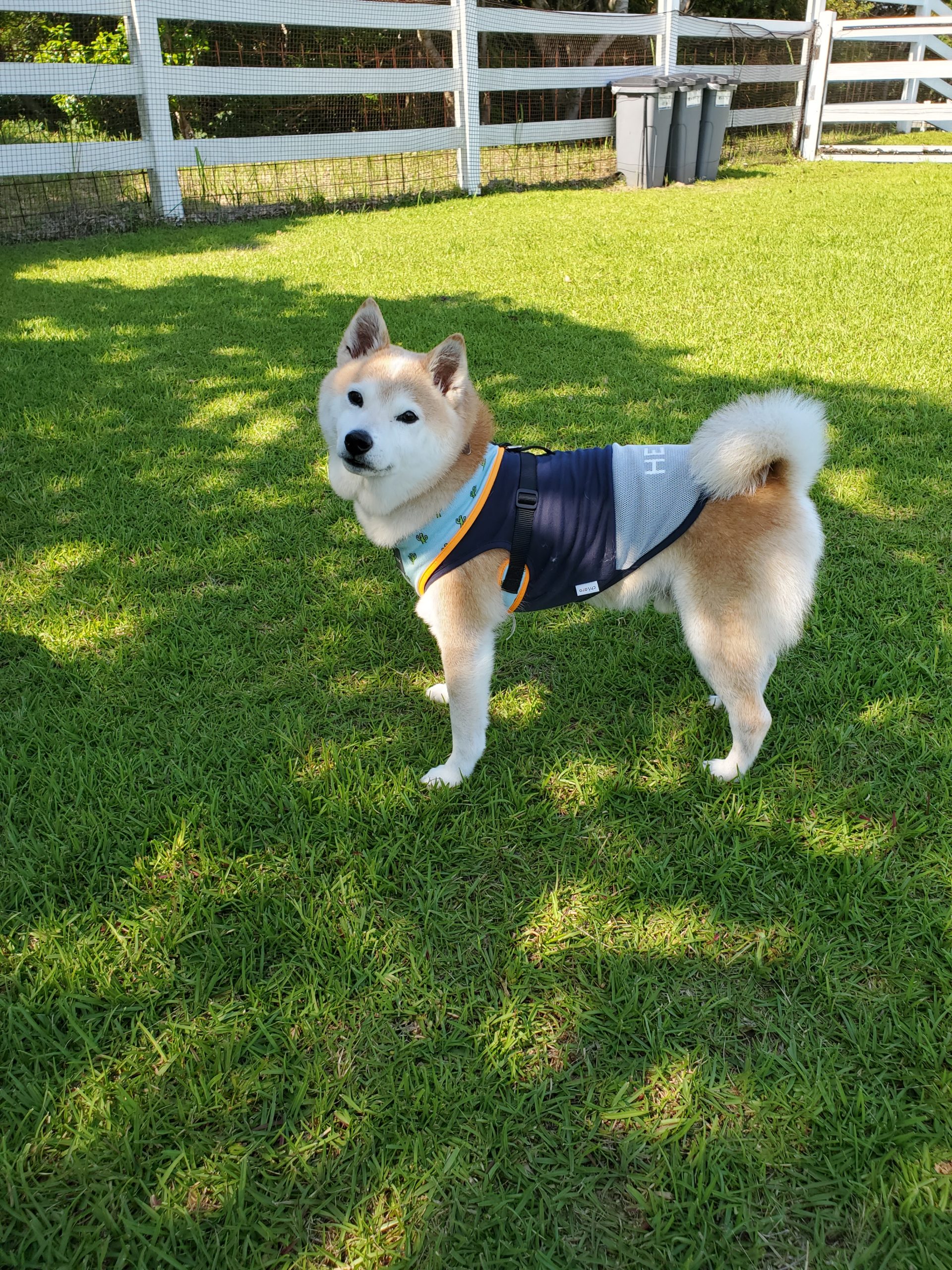 コタロウくん ♂ コタロウくん ♂