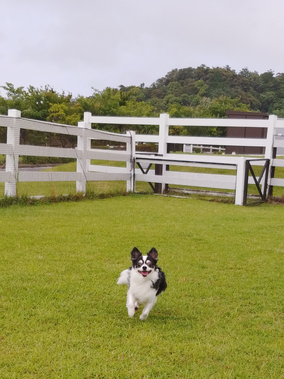 ラムくん ♂ ラムくん ♂