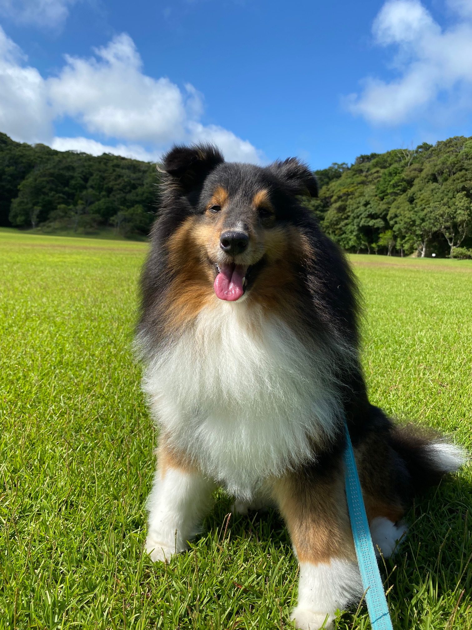 カイくん ♂ カイくん ♂