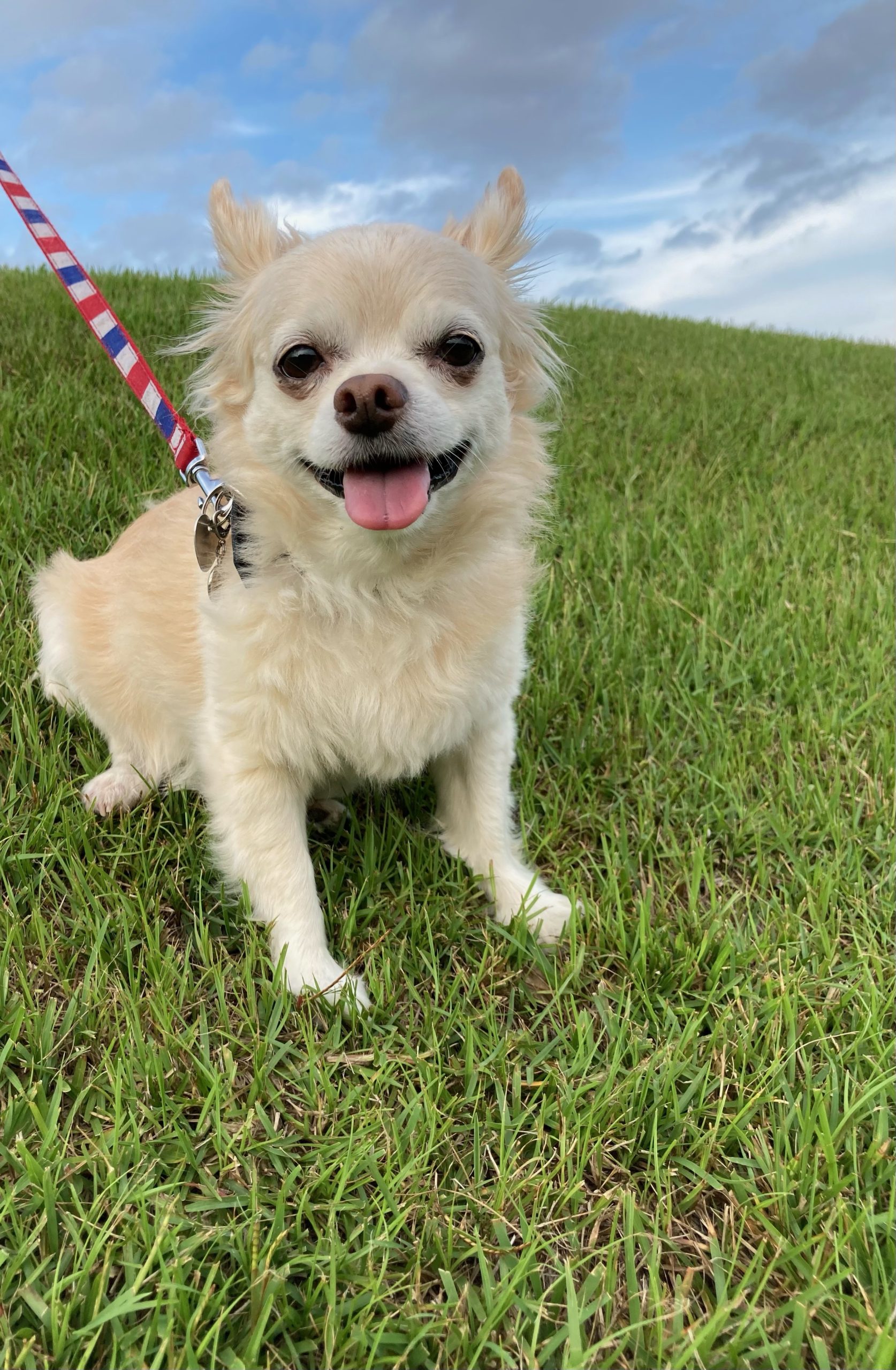 レオンくん ♂ レオンくん ♂