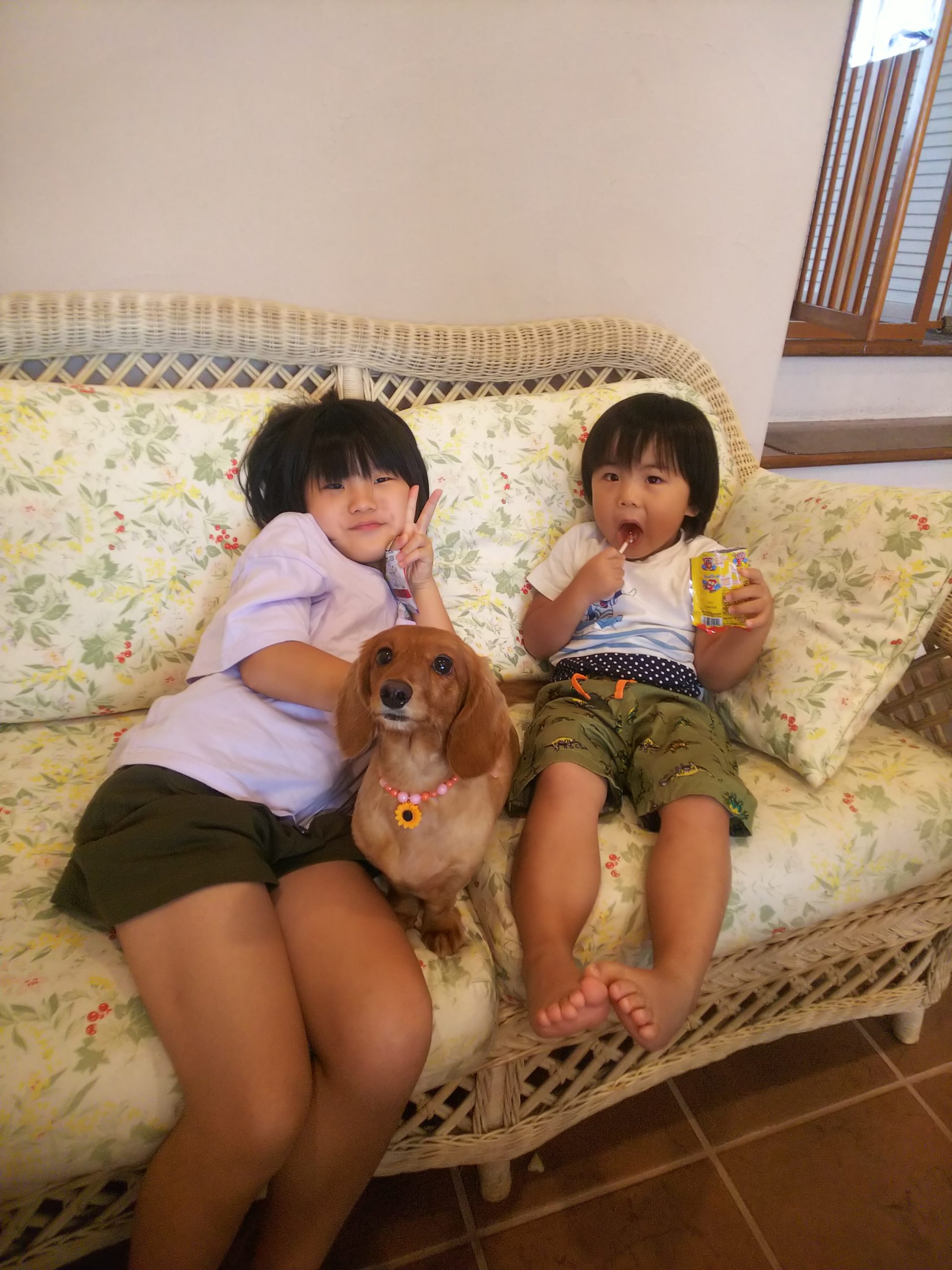 みかんちゃん ♀ みかんちゃん ♀