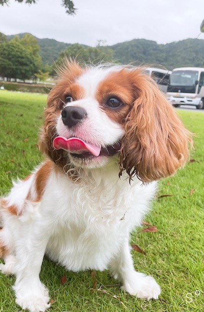 りんりんちゃん ♀ りんりんちゃん ♀