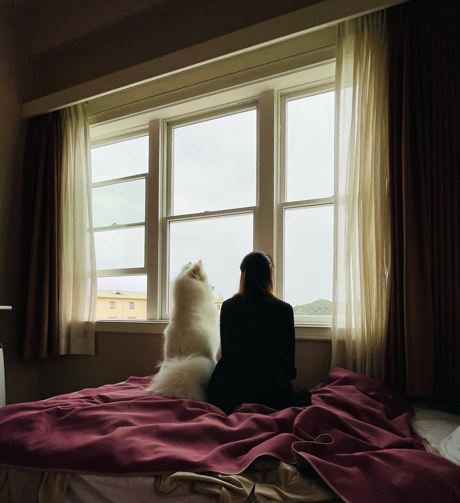 フォーファちゃん ♀ フォーファちゃん ♀