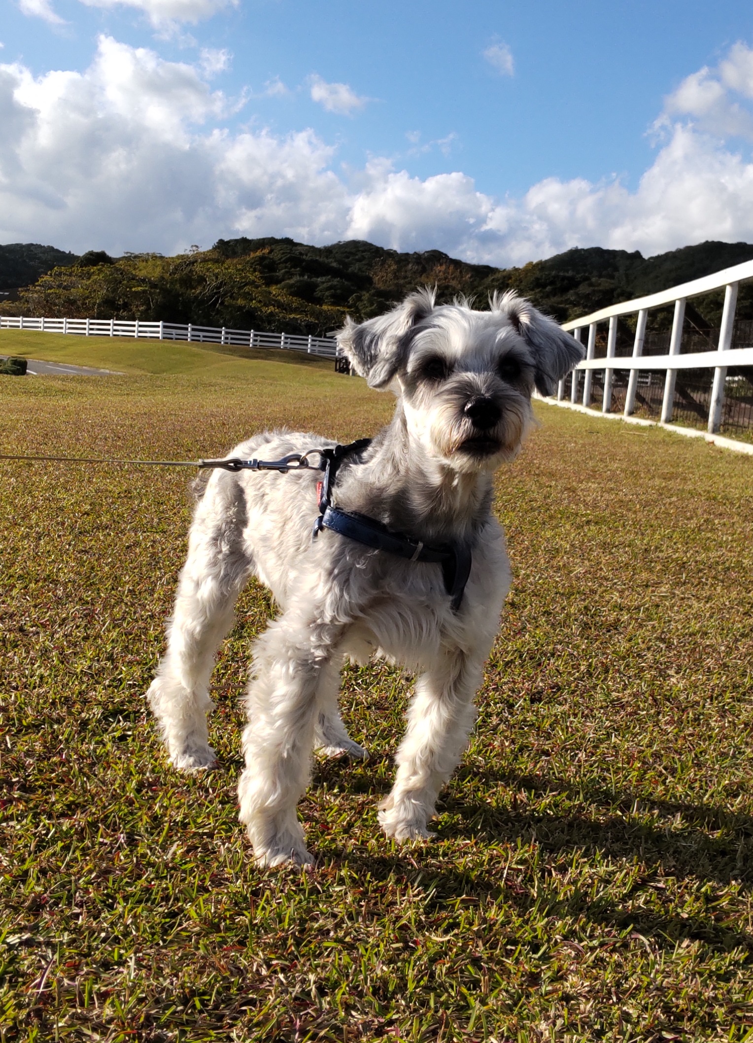 輪太郎くん ♂ 輪太郎くん ♂