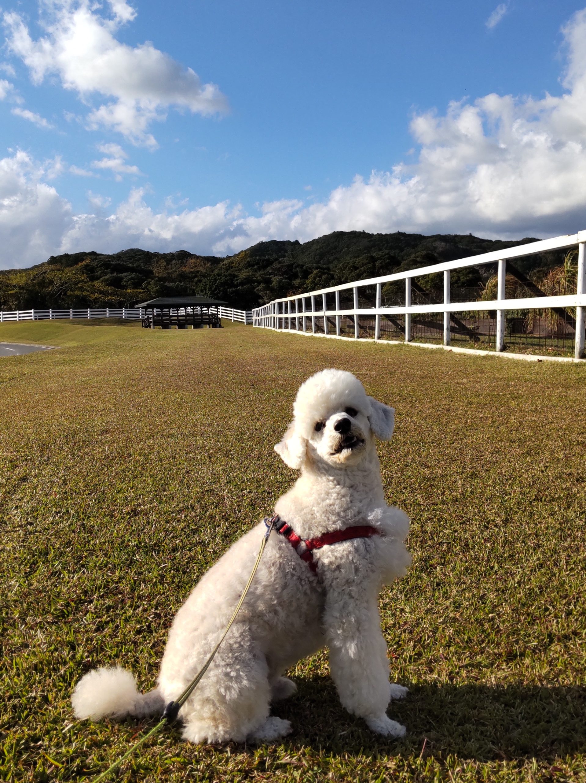 エインちゃん ♀ エインちゃん ♀