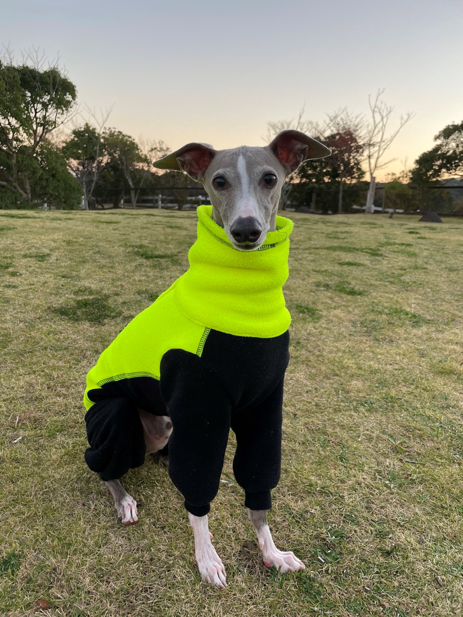 欽くん ♂ 欽くん ♂