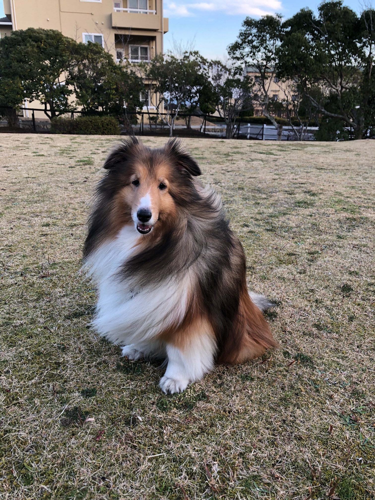 レオくん ♂ レオくん ♂