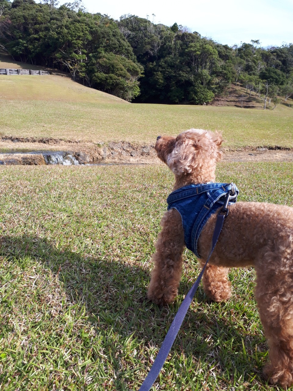 ルネちゃん ♀ ルネちゃん ♀