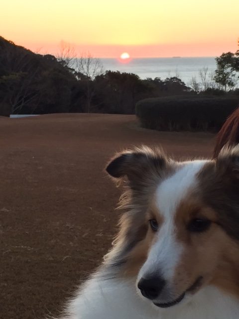 もこちゃん ♀ もこちゃん ♀