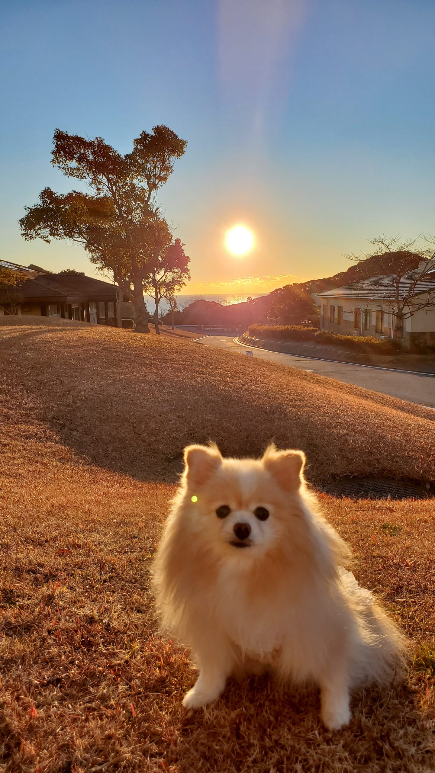 サラちゃん ♀ サラちゃん ♀