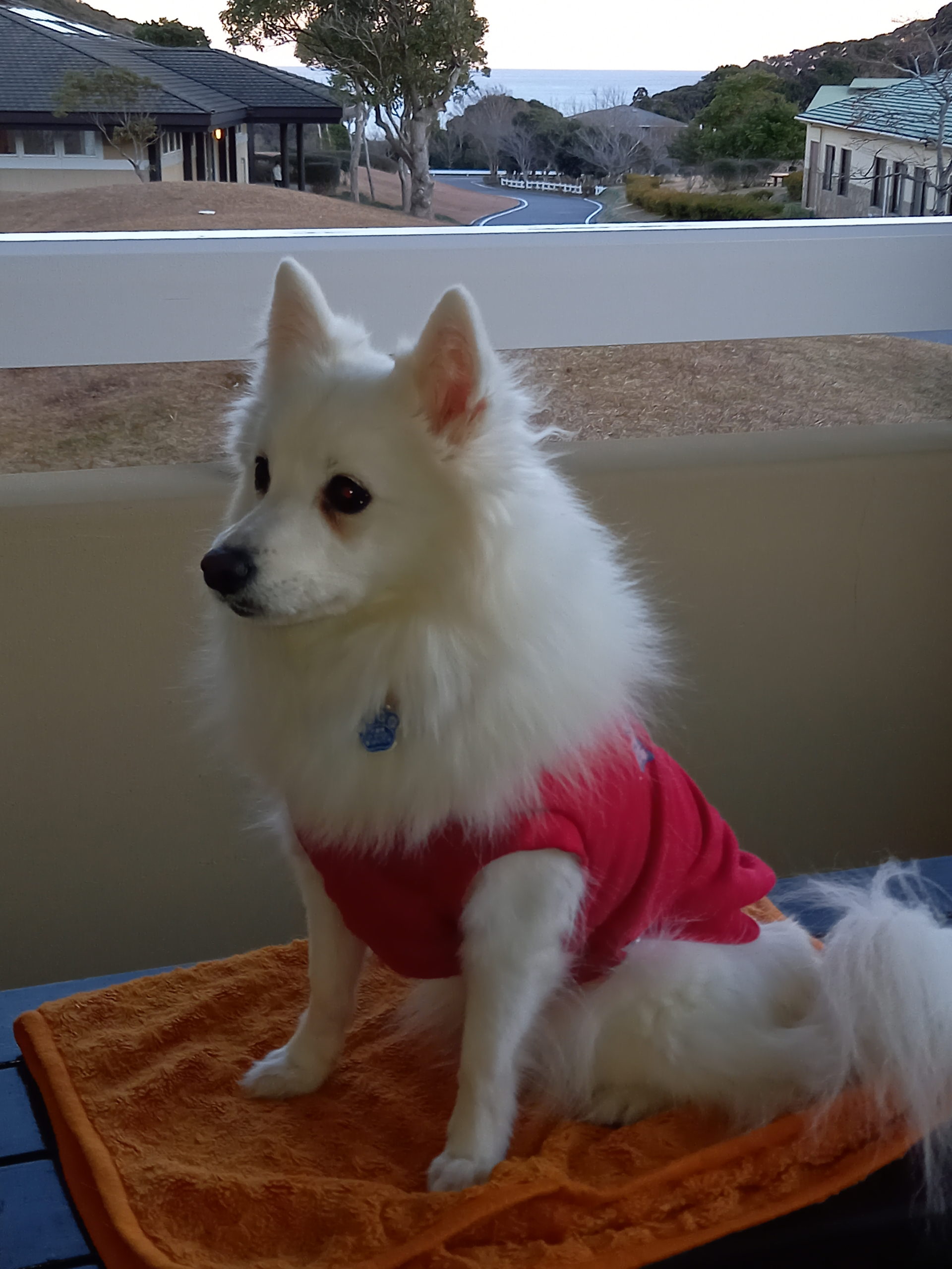 明ちゃん ♀ 明ちゃん ♀