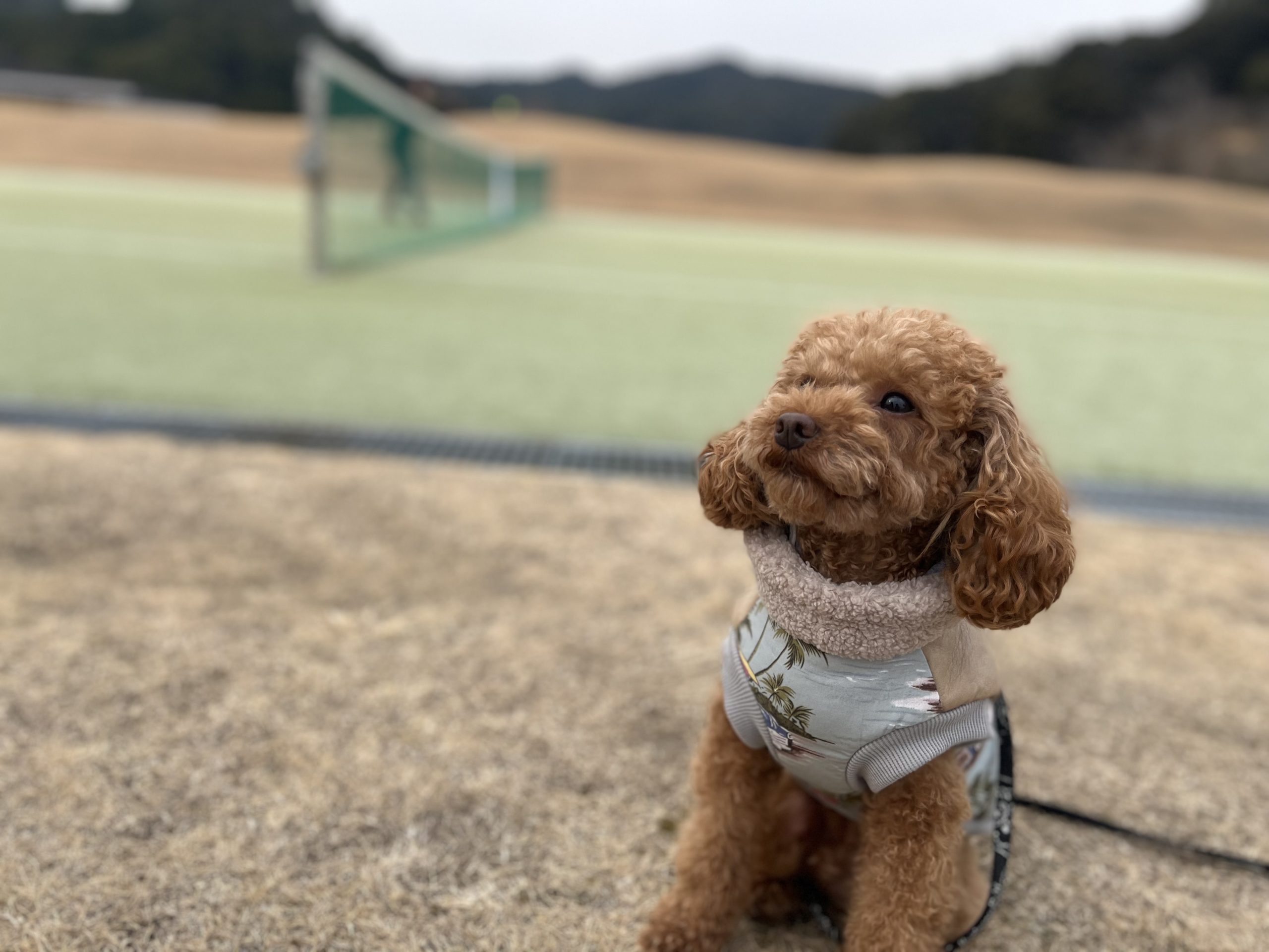 ジロくん ♂ ジロくん ♂