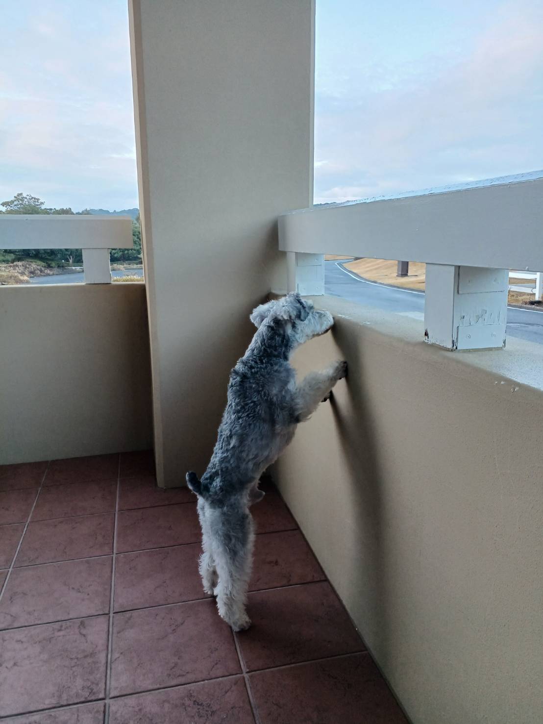 グ-くん ♂ グ-くん ♂