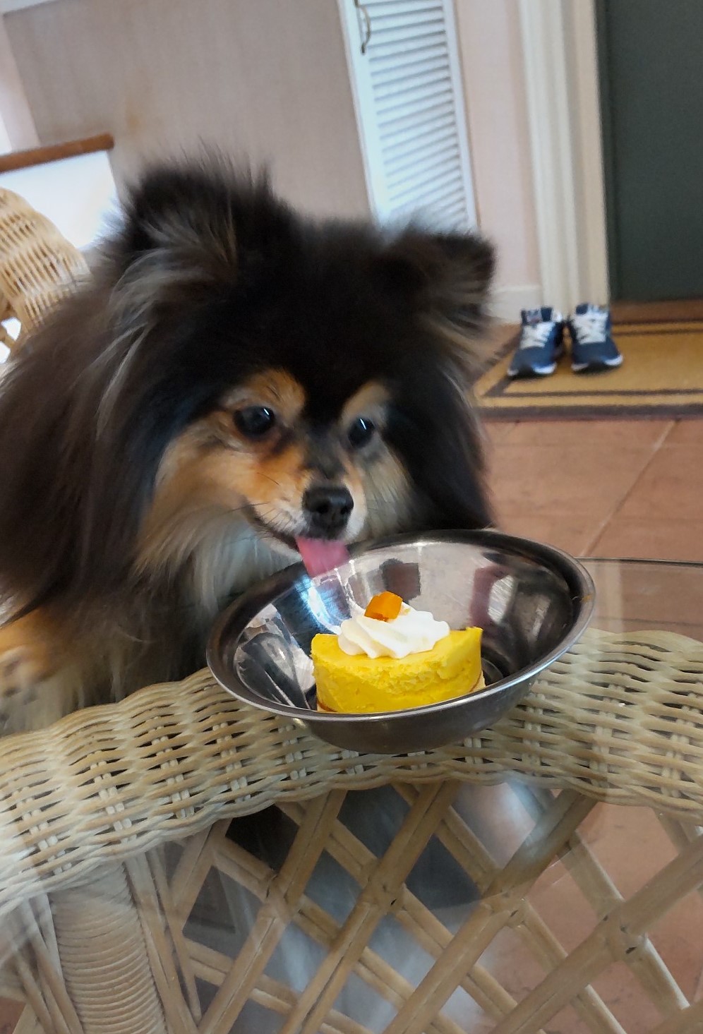 クロスケくん ♂ クロスケくん ♂