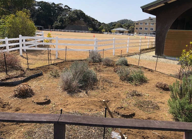 ～　キッチンガーデンより　～