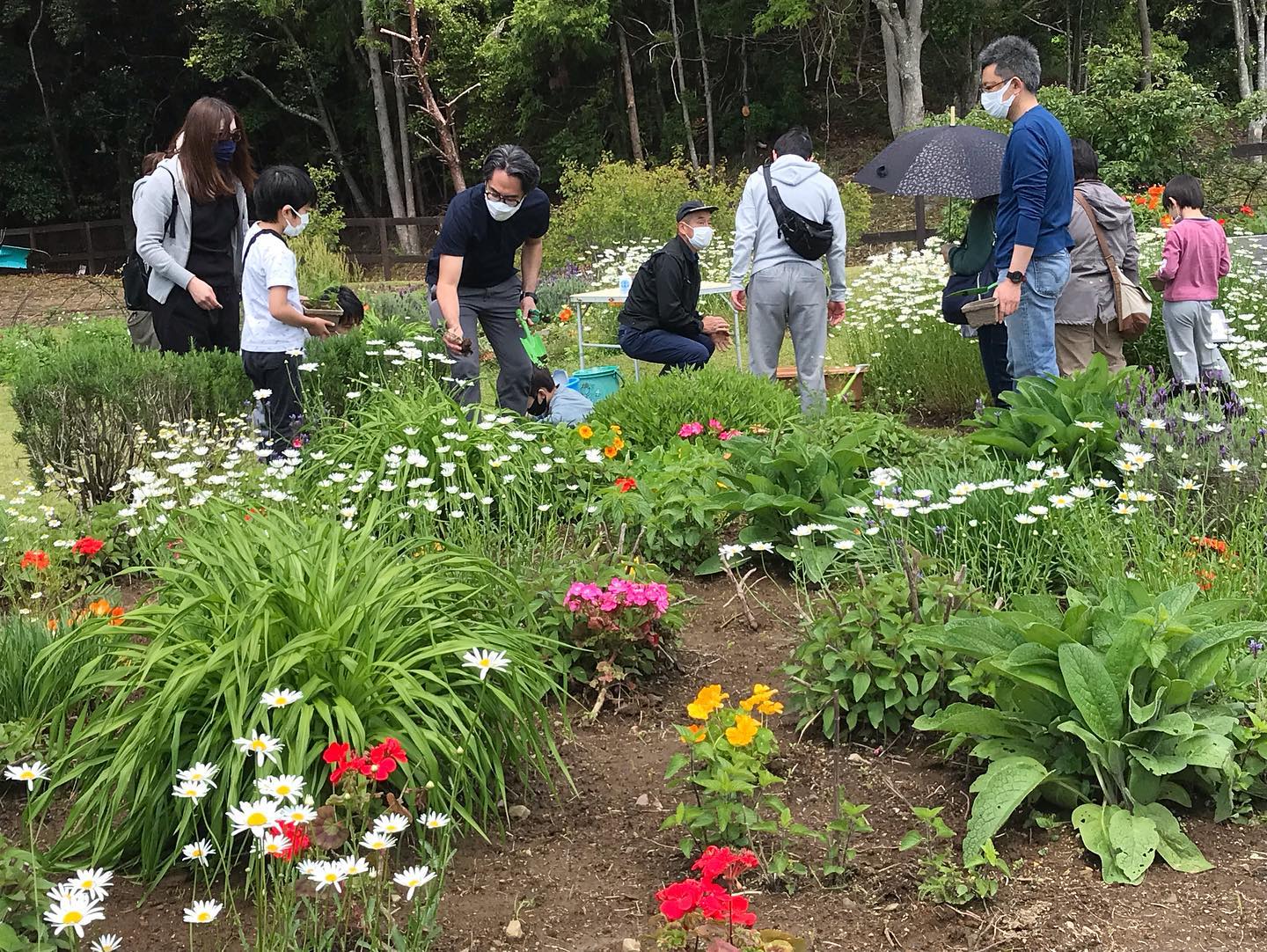 ハーブ寄せ植え体験