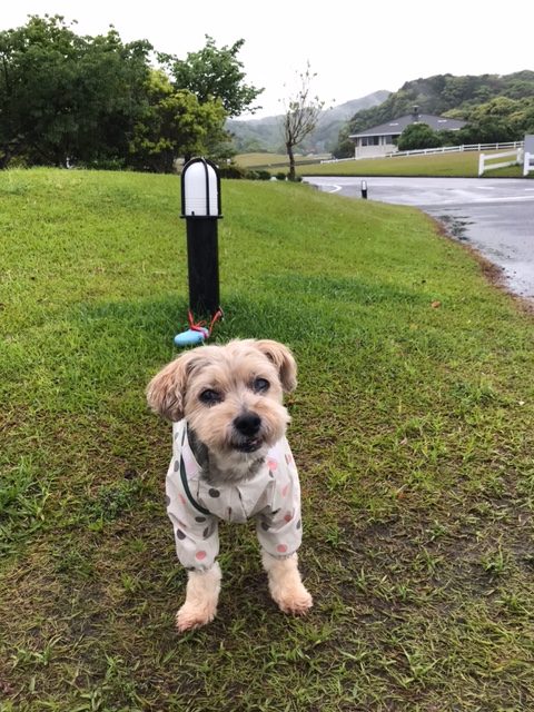 モコちゃん♀ モコちゃん♀