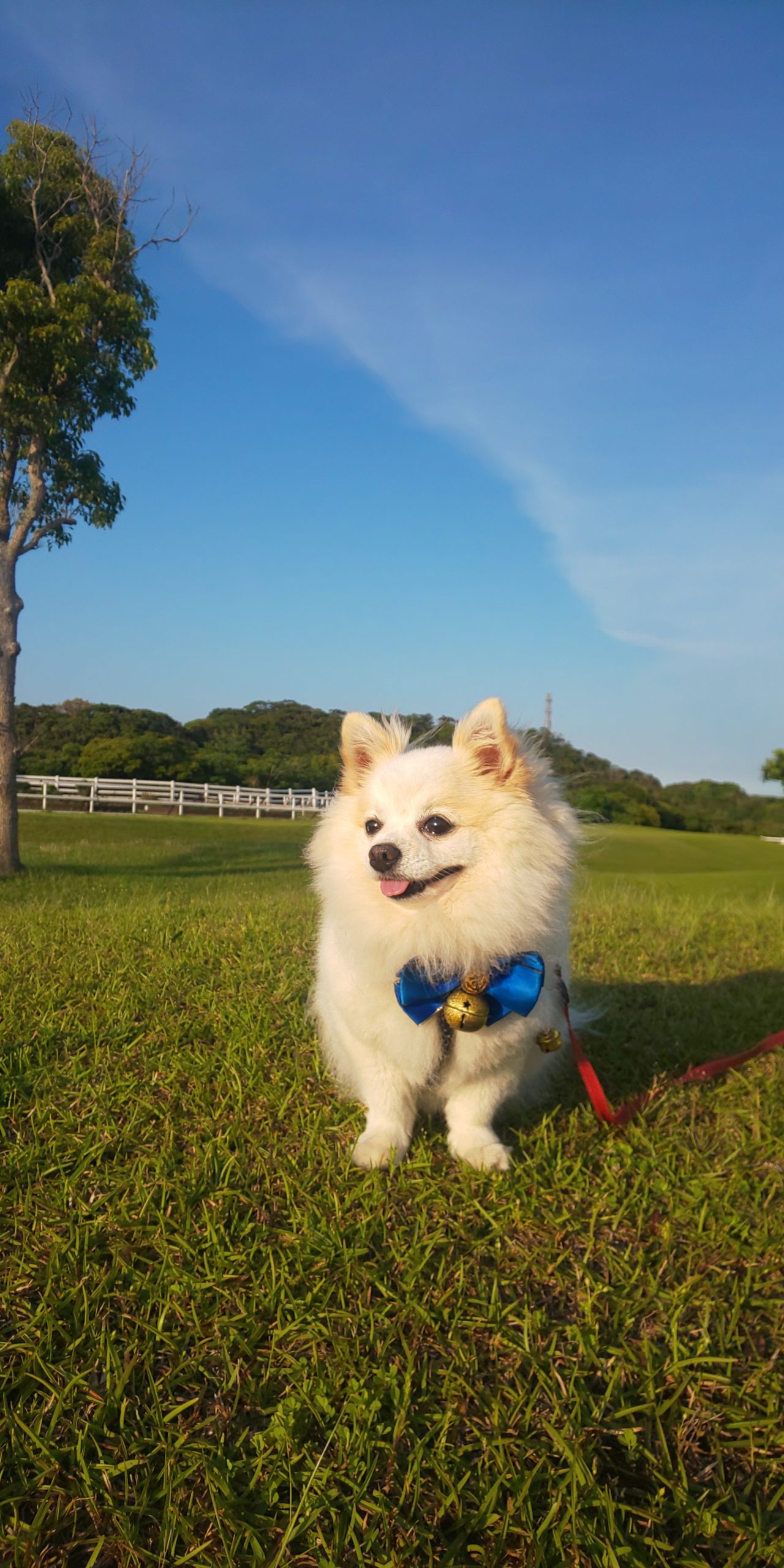 レオンくん ♂ レオンくん ♂